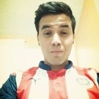 Jose Guadalupe Loeza Alvarez