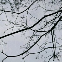 吴建婷