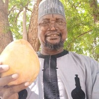 Ado Mahmud