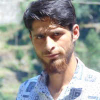 Dar Rayees