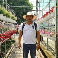 Tuan Tran Van