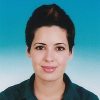 PARASKEVI GIAZITZOGLOU