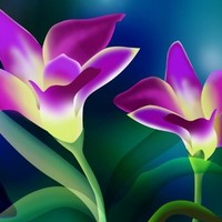 Paramesh Shanmugam