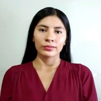 Yesica Mamani Chusi