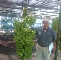 Henry ventura Henry Ventura