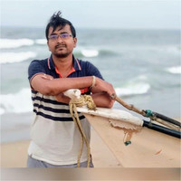 Vinay M