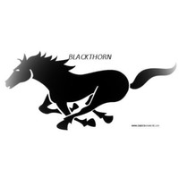 Blackthorn world