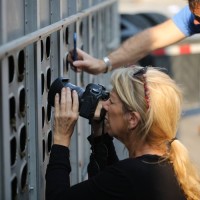 Louise Scott-Jorgensen