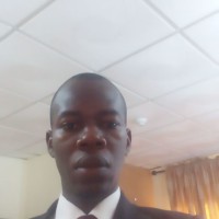 Theophilus Ndubuisi Anyanwu