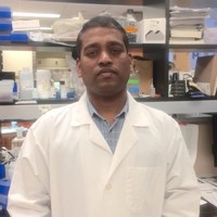 Senthil Kumar Krishnaswamy