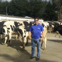 Manuel. Carrillo M.Carrillo