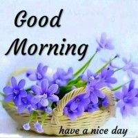 Vinod Singh