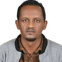 Berhan Fikru