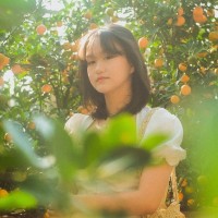 Yến Phi Hoàng Trương