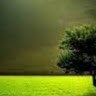 Zishan K
