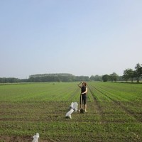 Agnieszka Szturc-Koetsier