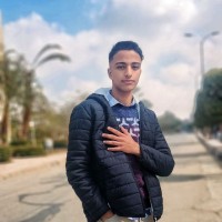 Amr Mohamed Reda