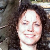 Dana Ramquist