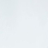 Luis F. Muniz Garcia