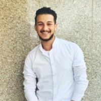 Amr H. Abd El-Naby