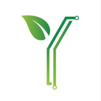 Vysion Green
