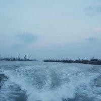 李兴兵