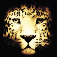 Leopardato Print