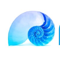 Nautilus Business Consulting