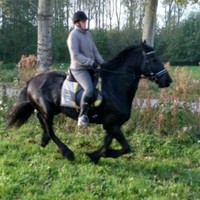Trudy Teitsma