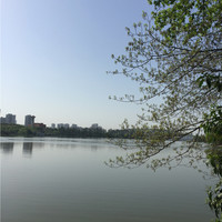 shilin zou