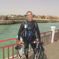 Hassan Shaheen