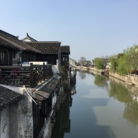 Rio Han