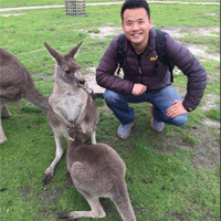 Davis Wei