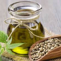 Mayan Sustainable Farms