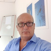 Stefano Salvietti