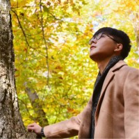 Harry Lu