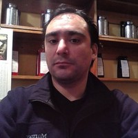 David Oyarzún Alamos