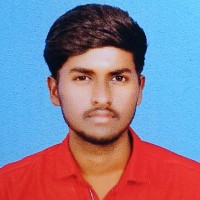 Nitheeshkumar M