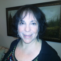 Linda Stein