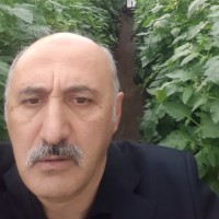 servet kazancı
