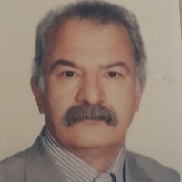 Mohammadreza Attari