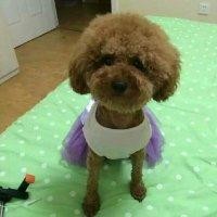 张任伟