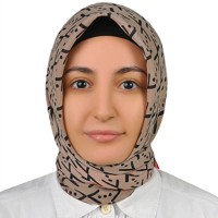 Nazife Nur E.