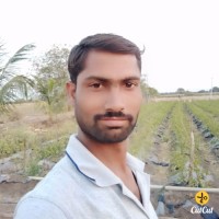 Sanjeev Koripelli