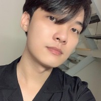 Việt Hùng Vũ