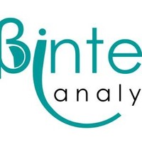 Bintel Analytics