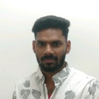 Raja R