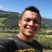 Max Frota
