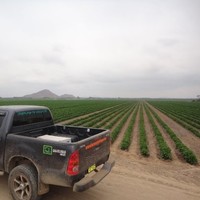 David Solis Reategui