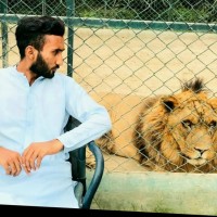 Din Muhammad